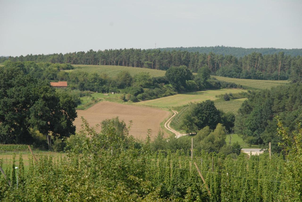 Ferienwohnung Passivhaus "Schoene Aussicht" Georgensgmund Esterno foto